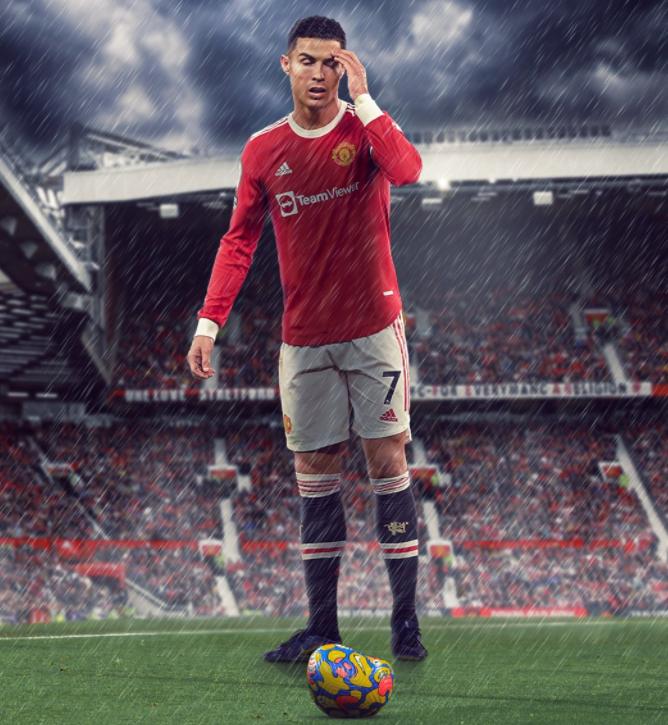 热议话题！体育巨星再添辉煌战绩